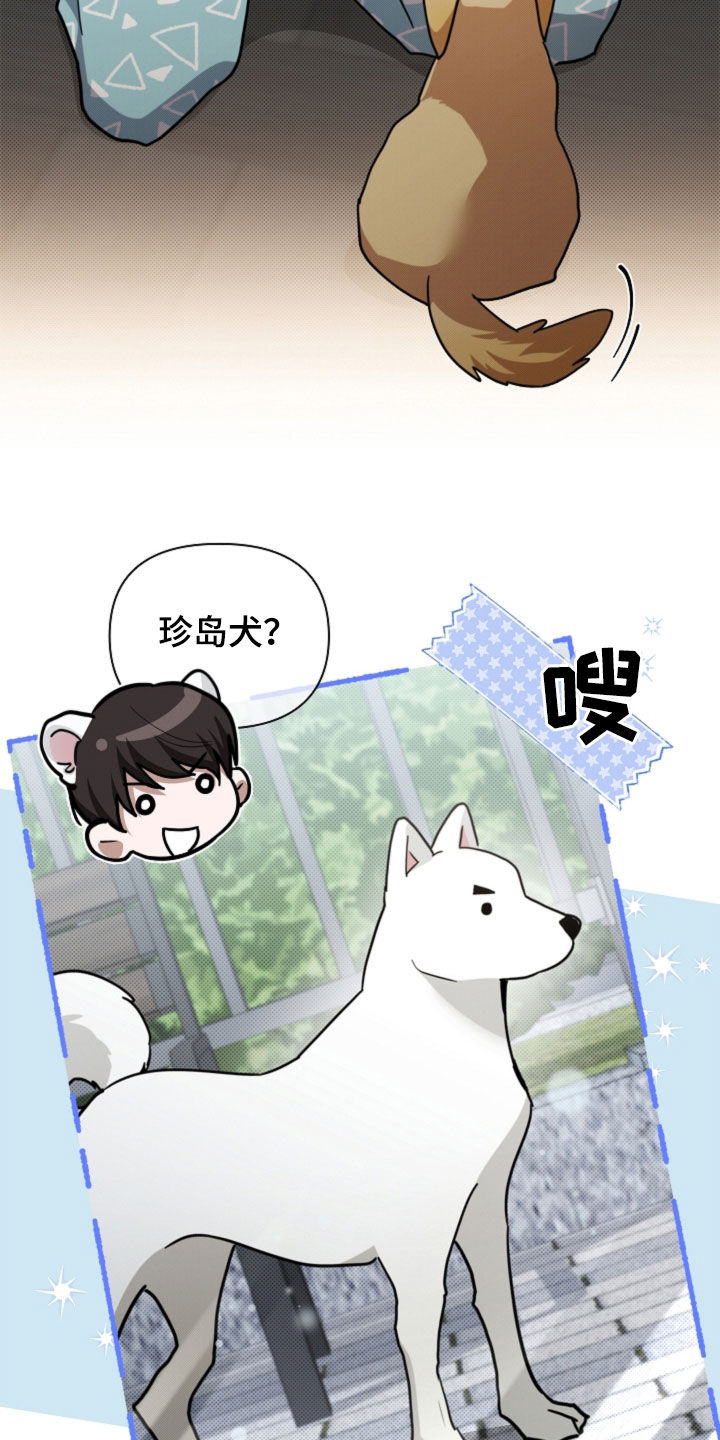 小白狗奇遇记漫画,第107章：【番外】品种1图