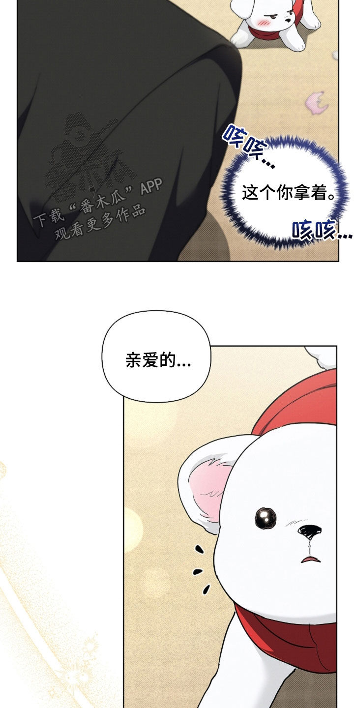 小白狗奇遇记漫画,第116章：【番外完结】求婚4图