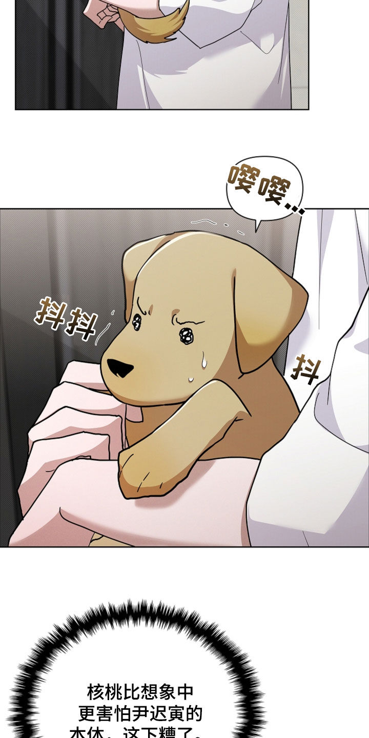 小白狗奇遇记漫画,第107章：【番外】品种5图