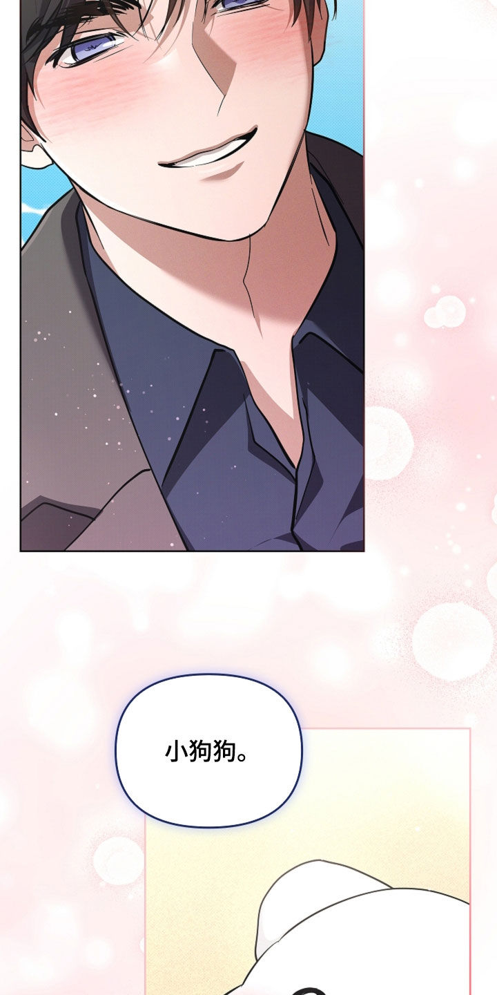 小白狗奇遇记漫画,第116章：【番外完结】求婚3图