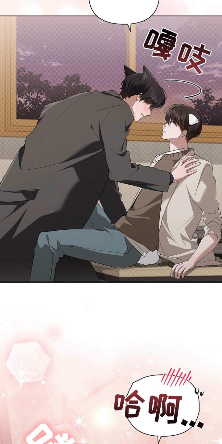 小白狗奇遇记漫画,第112章：【番外】不堪一击3图
