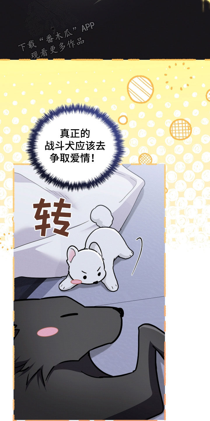 小白狗奇遇记漫画,第109章：【番外】争取爱情2图