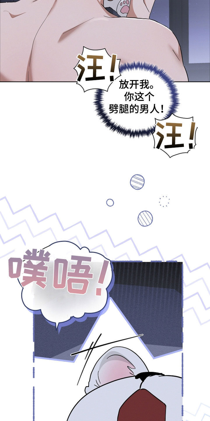 小白狗奇遇记漫画,第105章：【番外】有点委屈1图