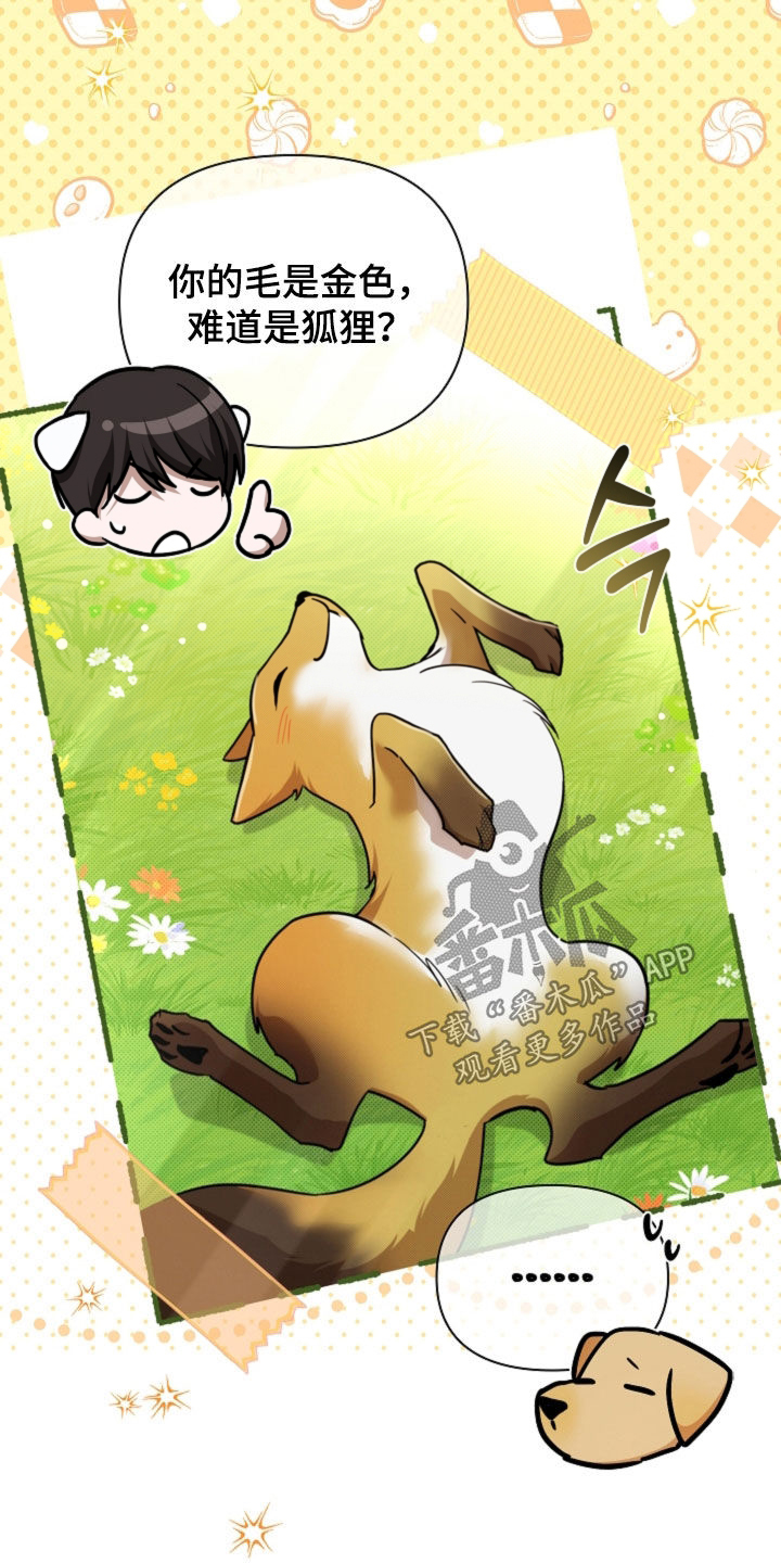 小白狗奇遇记漫画,第107章：【番外】品种3图