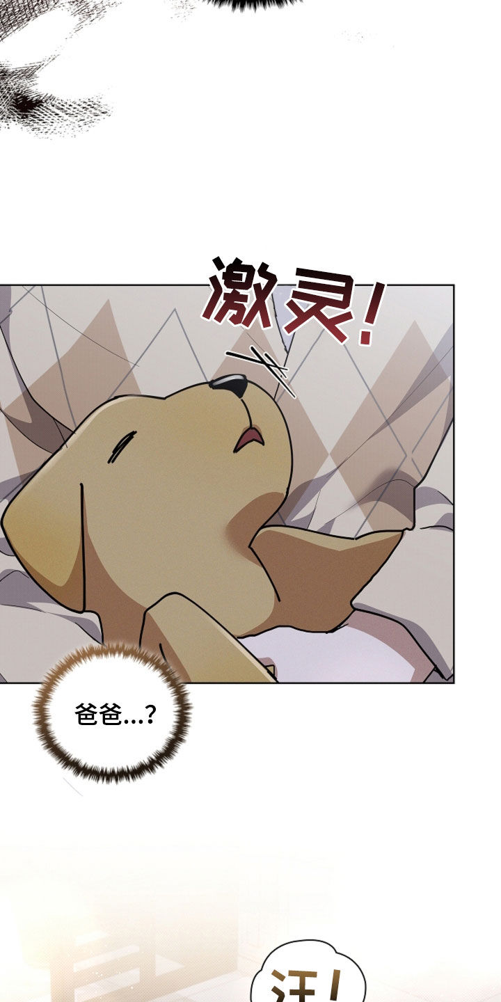 小白狗奇遇记漫画,第110章：【番外】质问3图