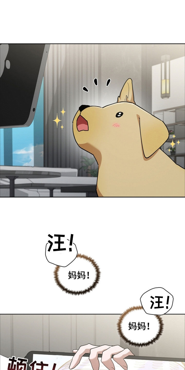 小白狗奇遇记漫画,第107章：【番外】品种4图