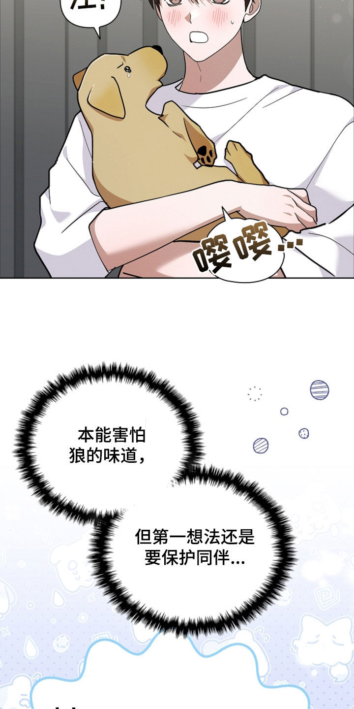 小白狗奇遇记漫画,第107章：【番外】品种5图