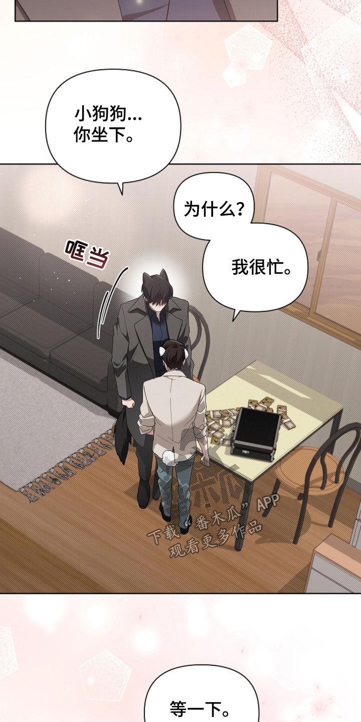 小白狗奇遇记漫画,第112章：【番外】不堪一击2图