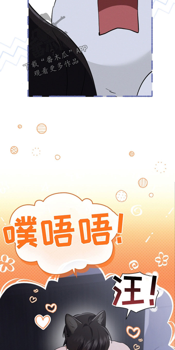 小白狗奇遇记漫画,第105章：【番外】有点委屈2图