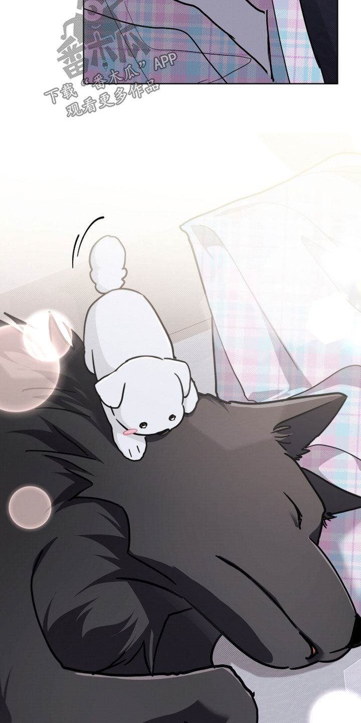 小白狗奇遇记漫画,第109章：【番外】争取爱情4图