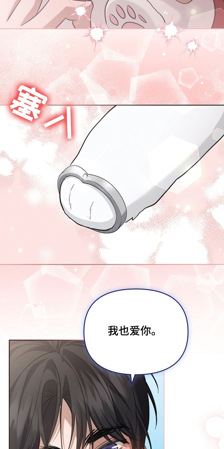 小白狗奇遇记漫画,第116章：【番外完结】求婚2图