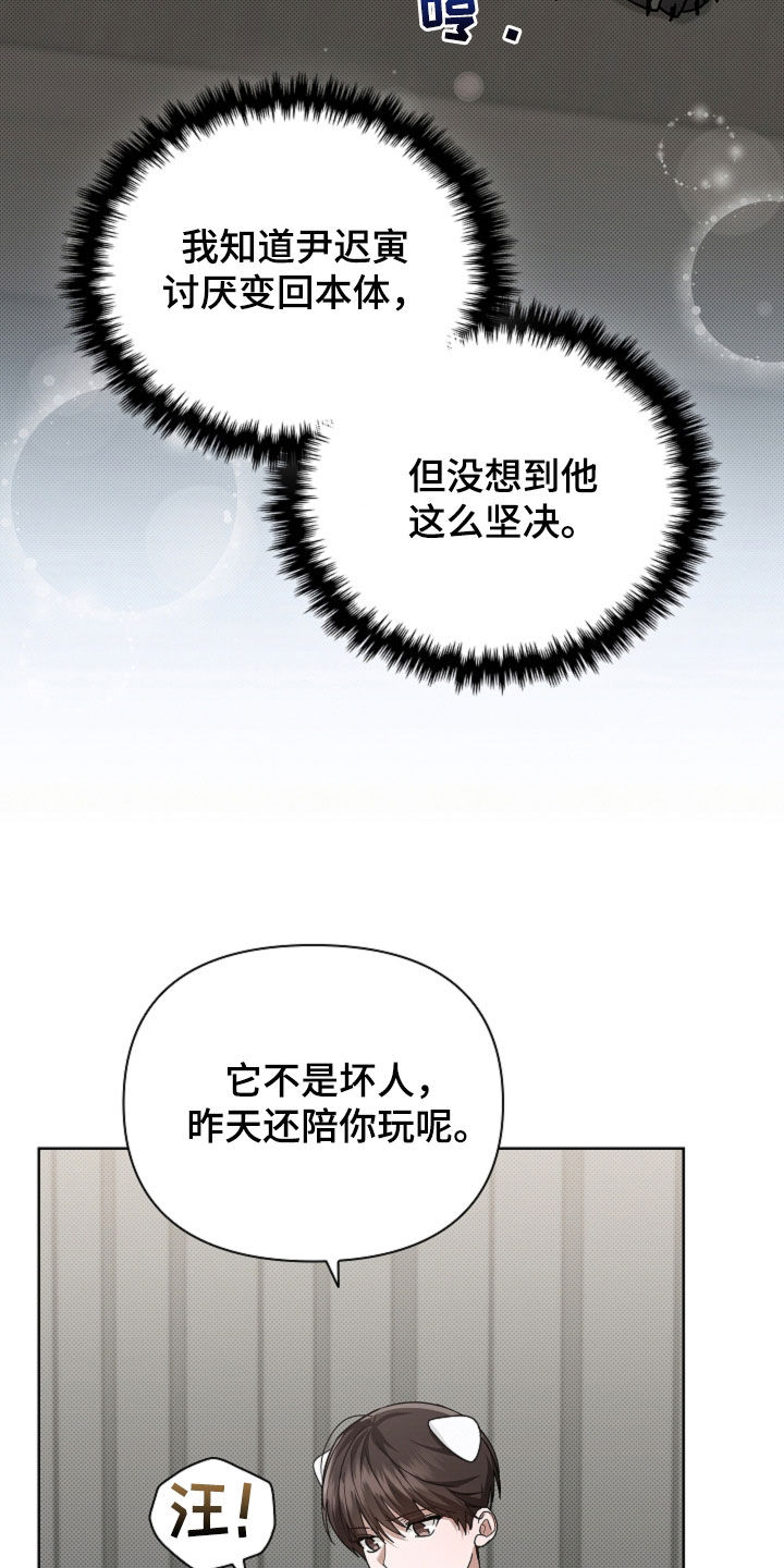 小白狗奇遇记漫画,第107章：【番外】品种3图