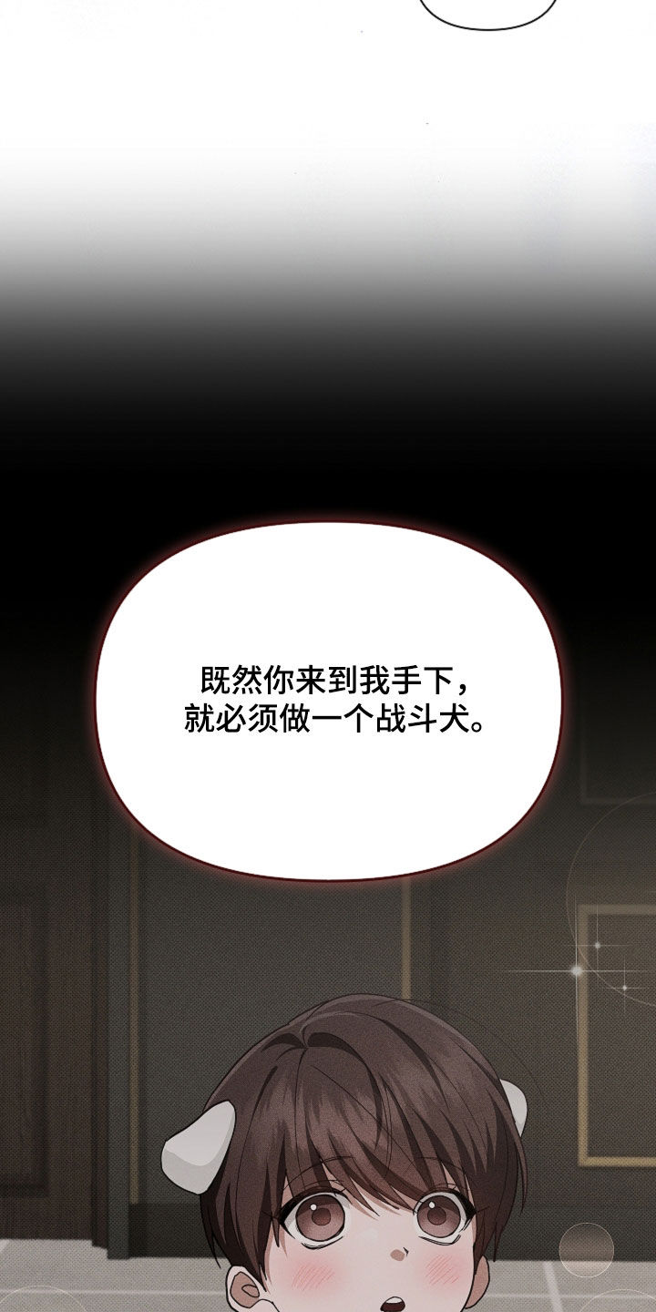 小白狗奇遇记漫画,第111章：【番外】我自己看着办2图