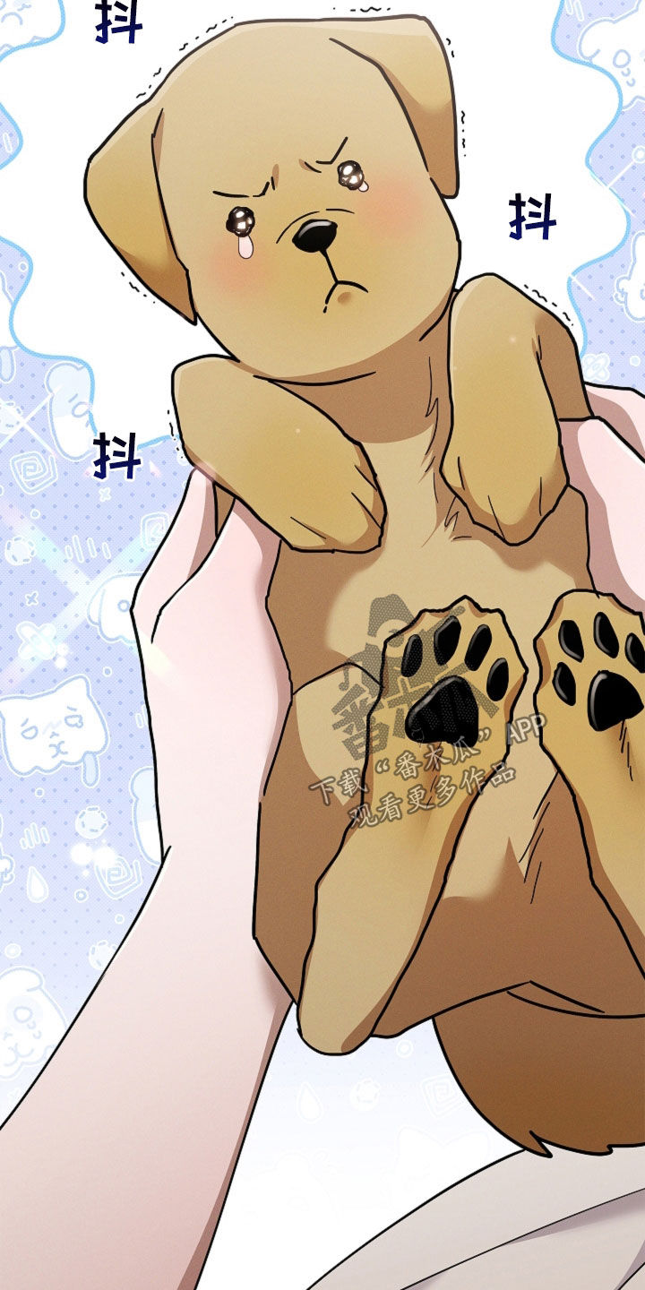 小白狗奇遇记漫画,第107章：【番外】品种1图