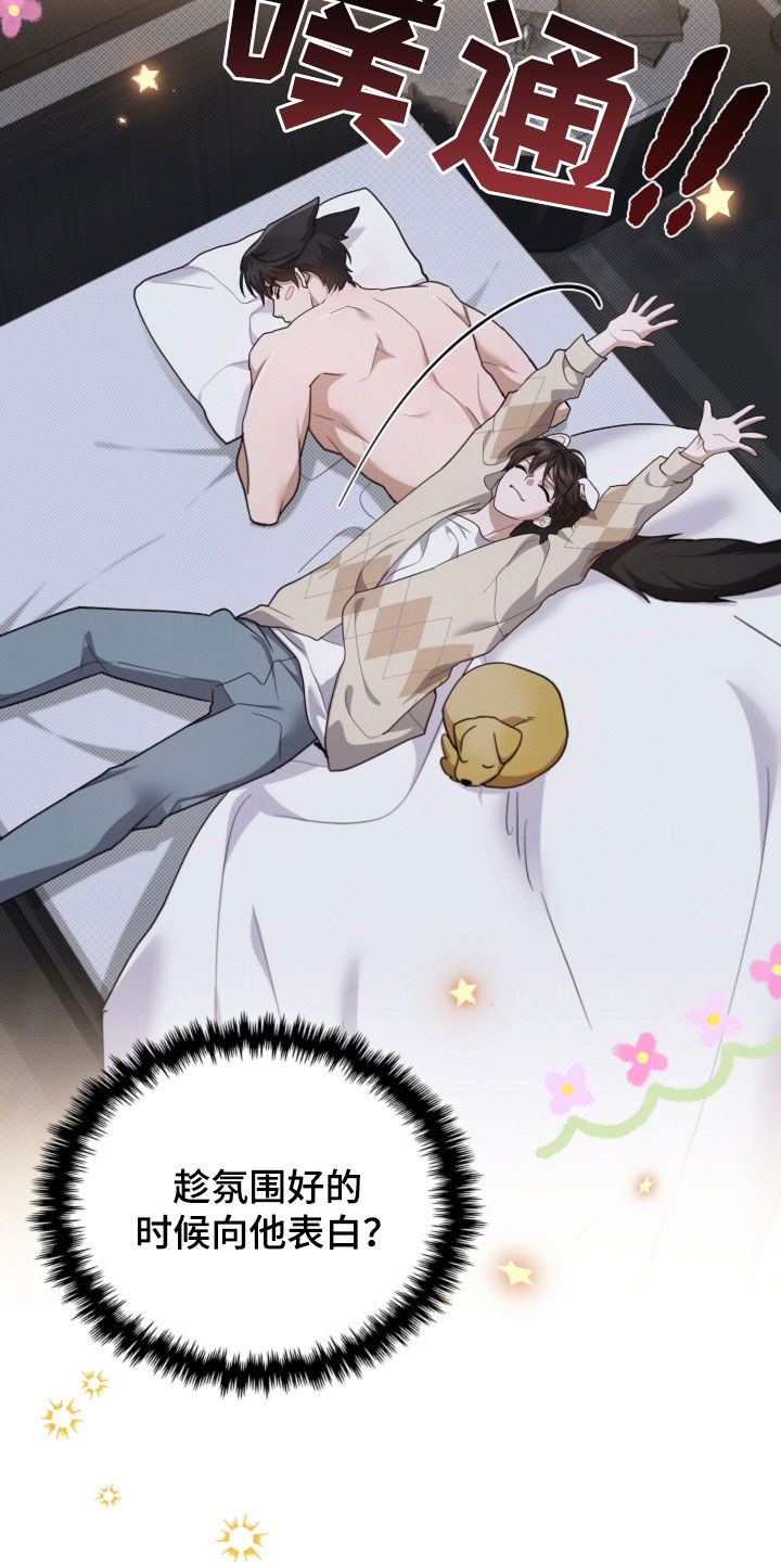 小白狗奇遇记漫画,第109章：【番外】争取爱情2图