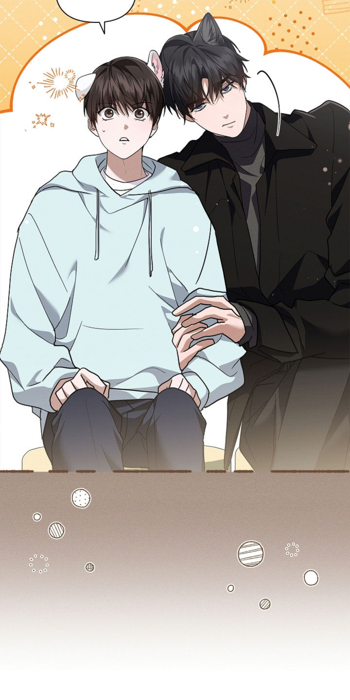 小白狗奇遇记漫画,第107章：【番外】品种1图