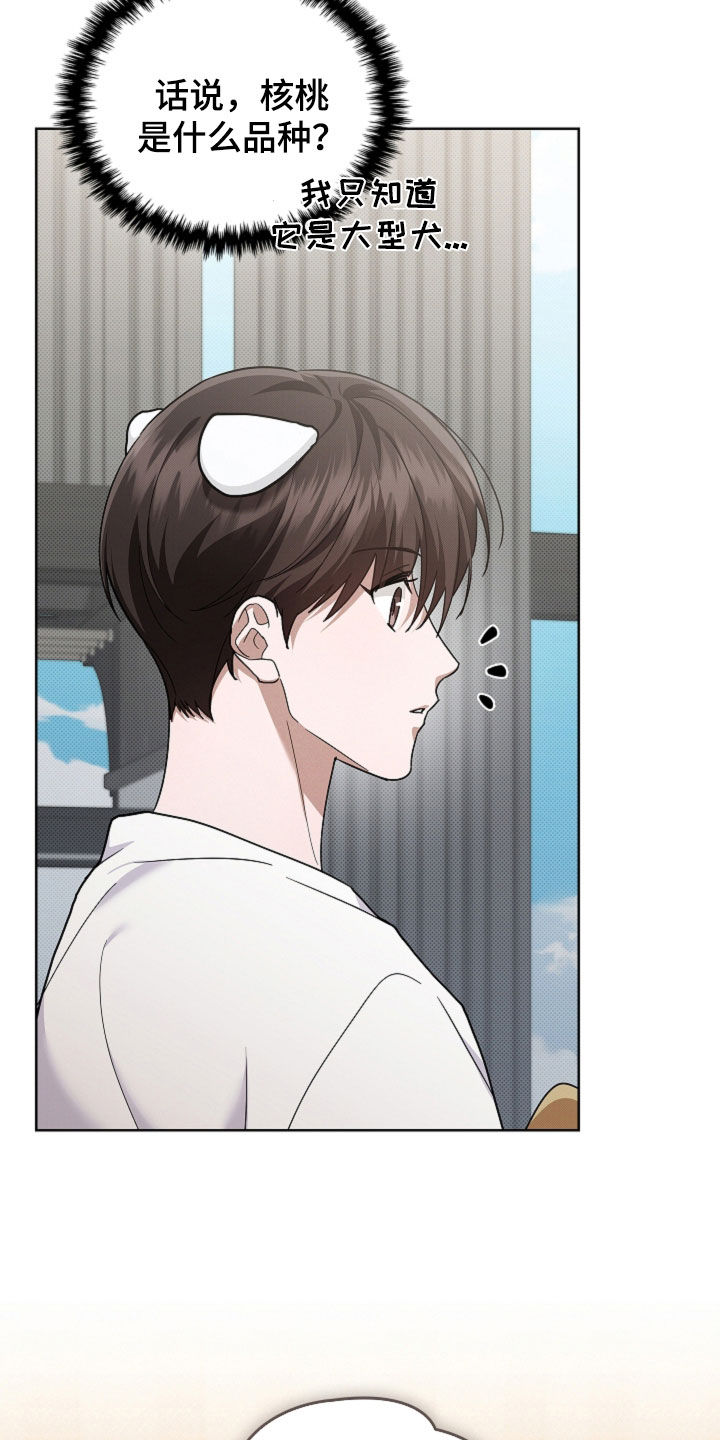 小白狗奇遇记漫画,第107章：【番外】品种4图