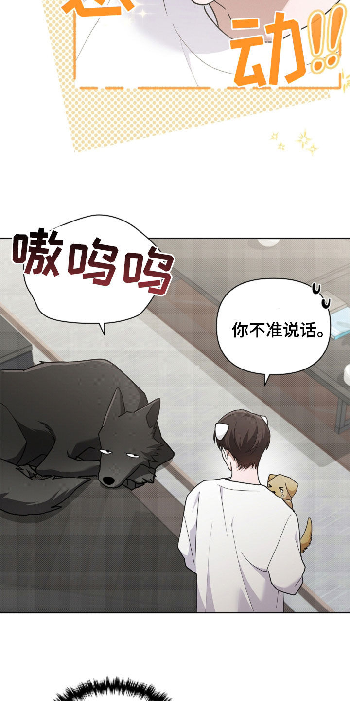 小白狗奇遇记漫画,第107章：【番外】品种3图