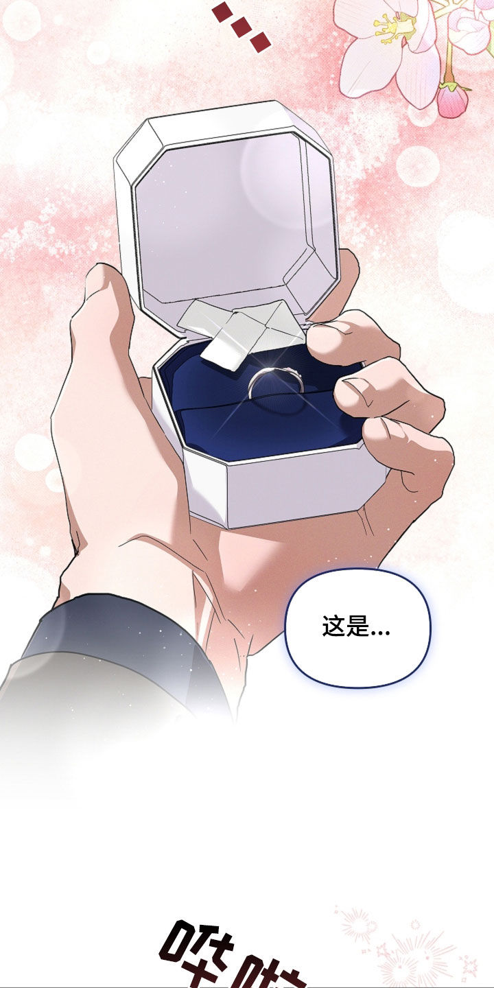 小白狗奇遇记漫画,第116章：【番外完结】求婚2图
