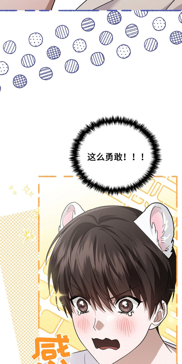小白狗奇遇记漫画,第107章：【番外】品种2图