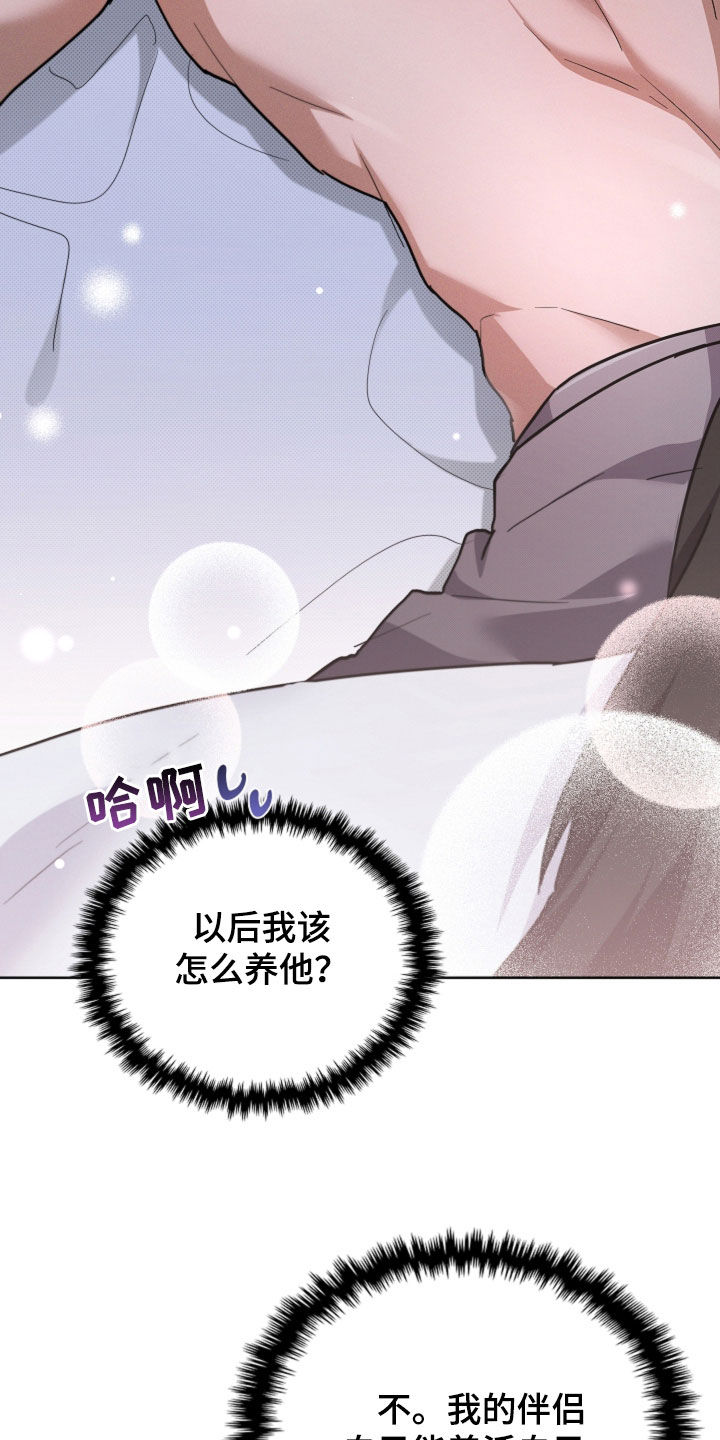 小白狗奇遇记漫画,第109章：【番外】争取爱情3图