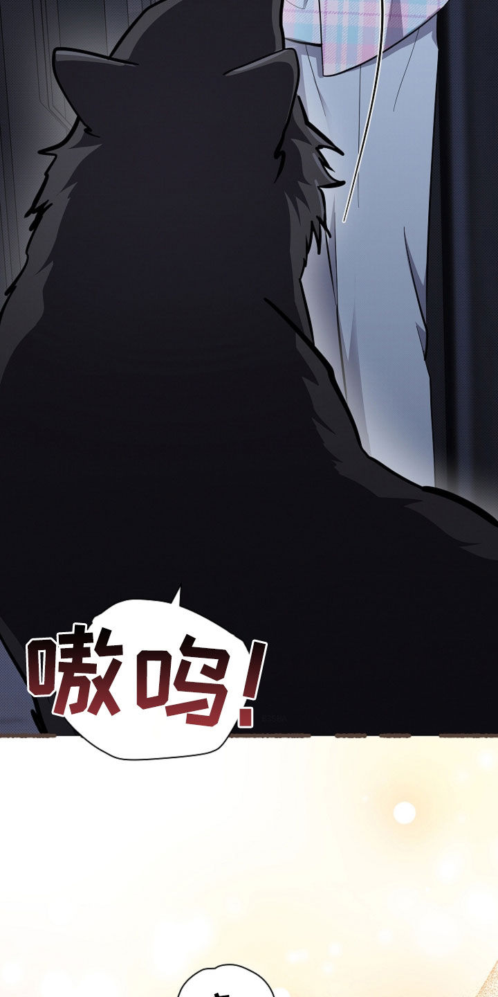 小白狗奇遇记漫画,第108章：【番外】过来抱4图