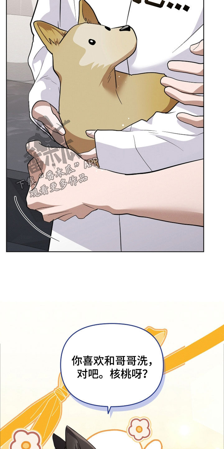 小白狗奇遇记漫画,第104章：【番外】吃醋2图