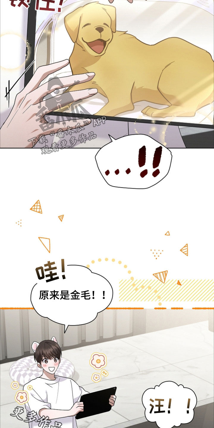 小白狗奇遇记漫画,第107章：【番外】品种5图