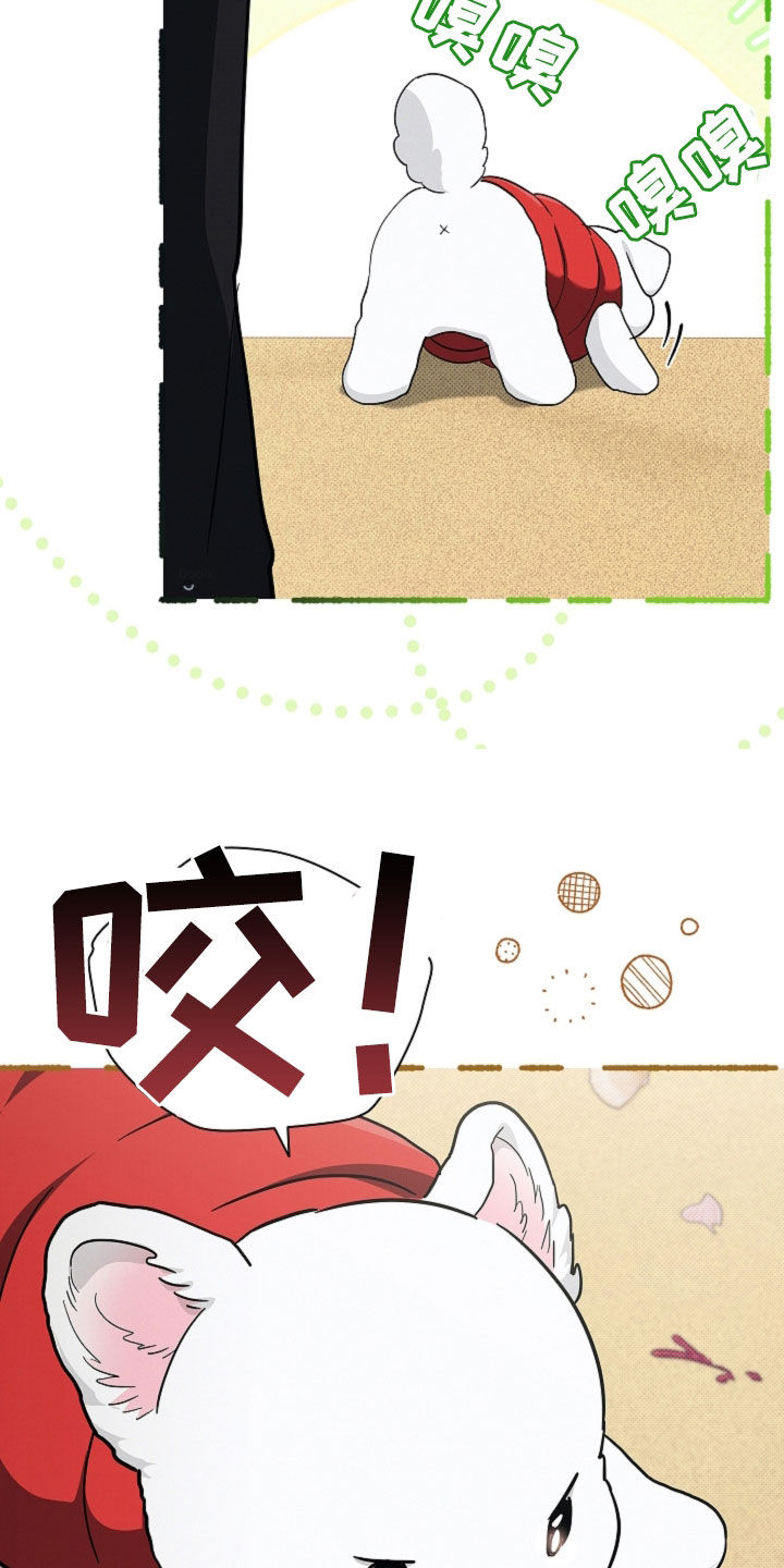 小白狗奇遇记漫画,第115章：【番外】海边1图