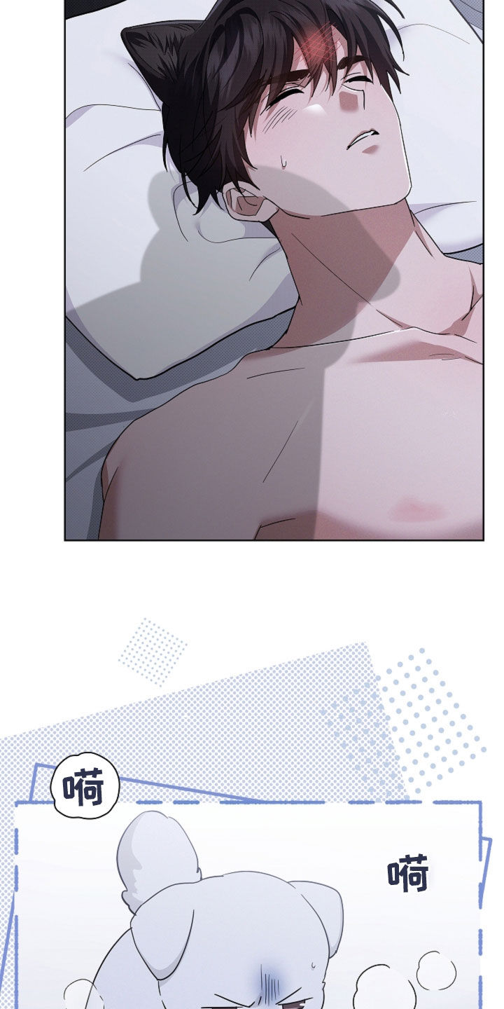 小白狗奇遇记漫画,第105章：【番外】有点委屈2图