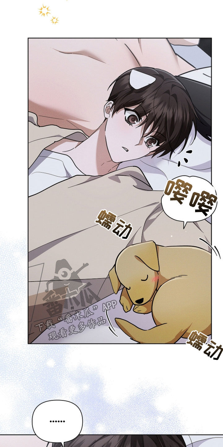 小白狗奇遇记漫画,第109章：【番外】争取爱情3图