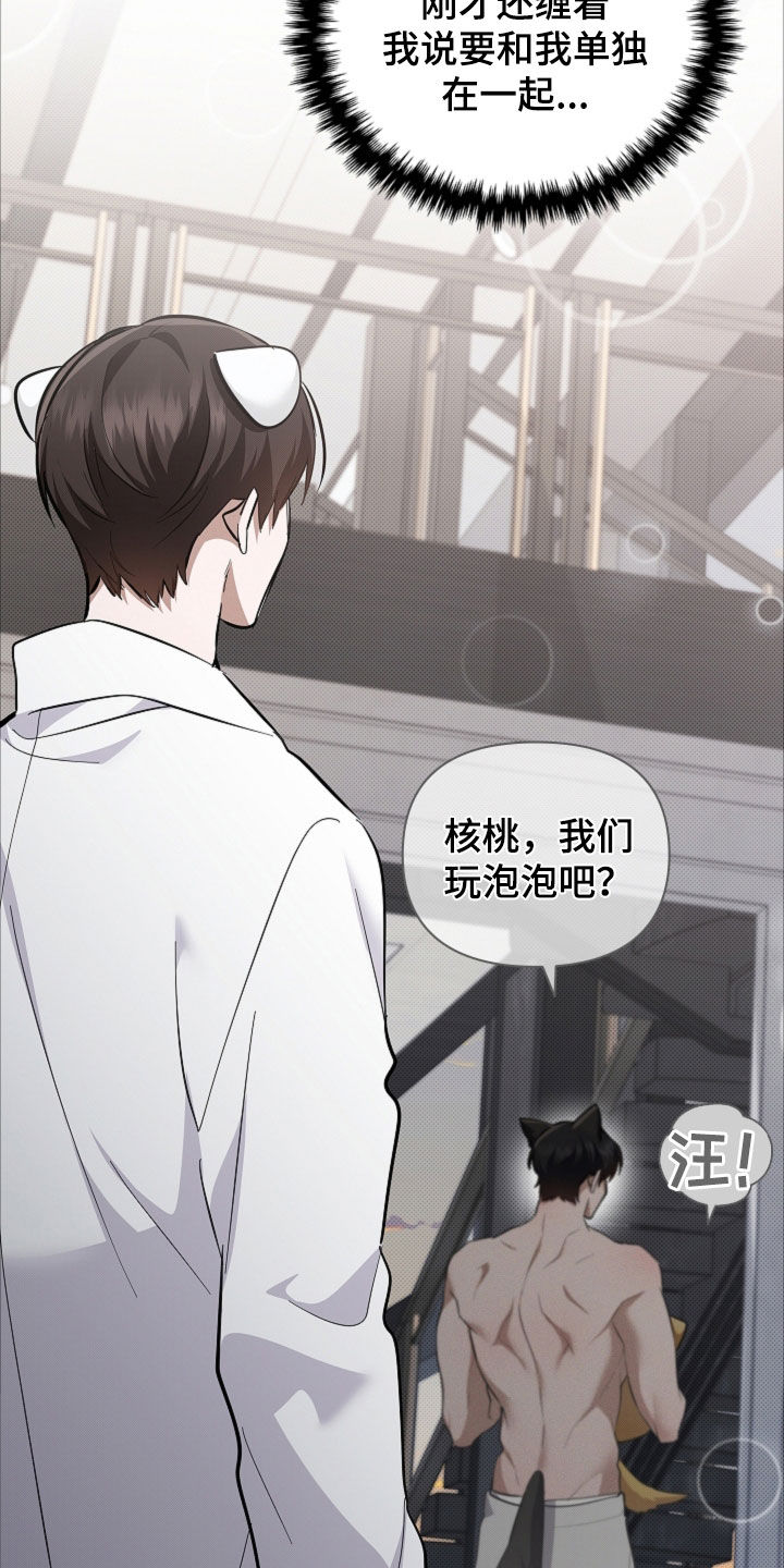 小白狗奇遇记漫画,第104章：【番外】吃醋1图