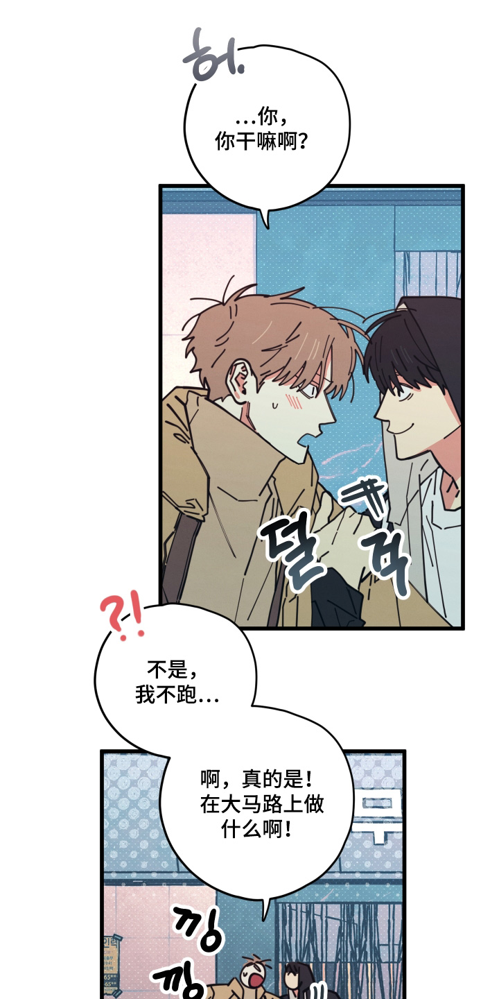 第19章：到底吃什么3