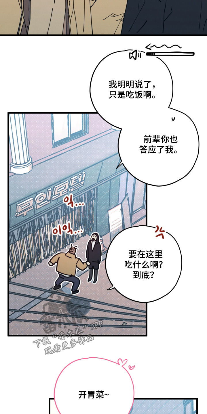 第19章：到底吃什么3