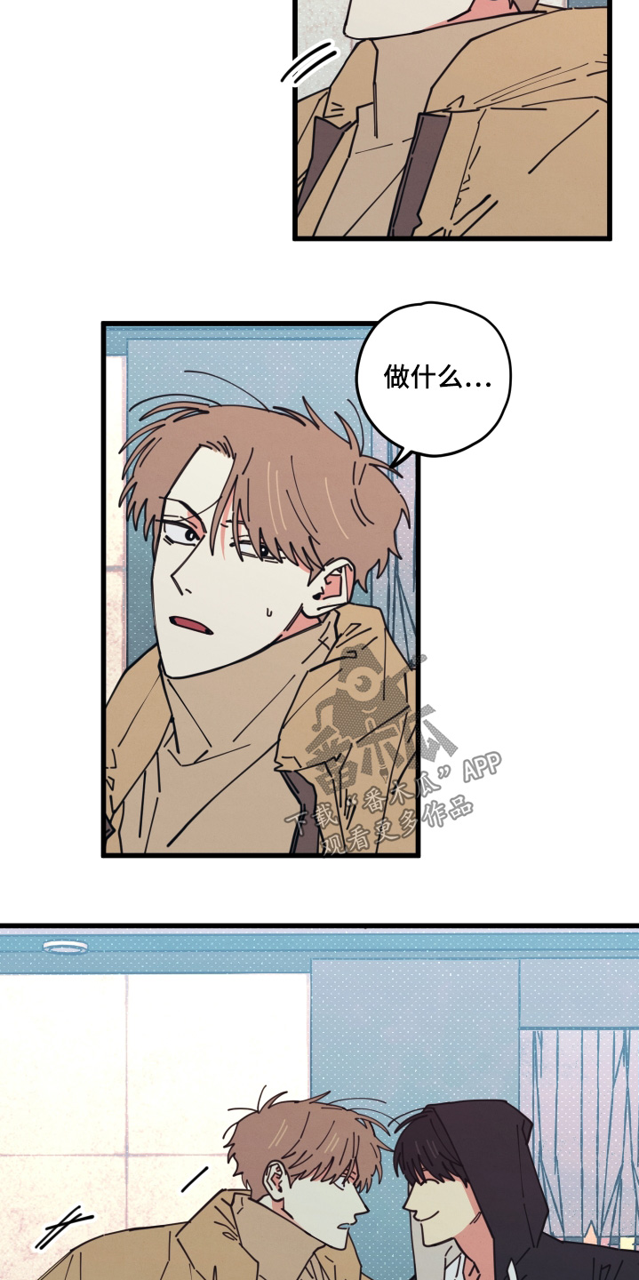 第19章：到底吃什么1