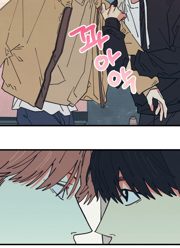 第19章：到底吃什么2