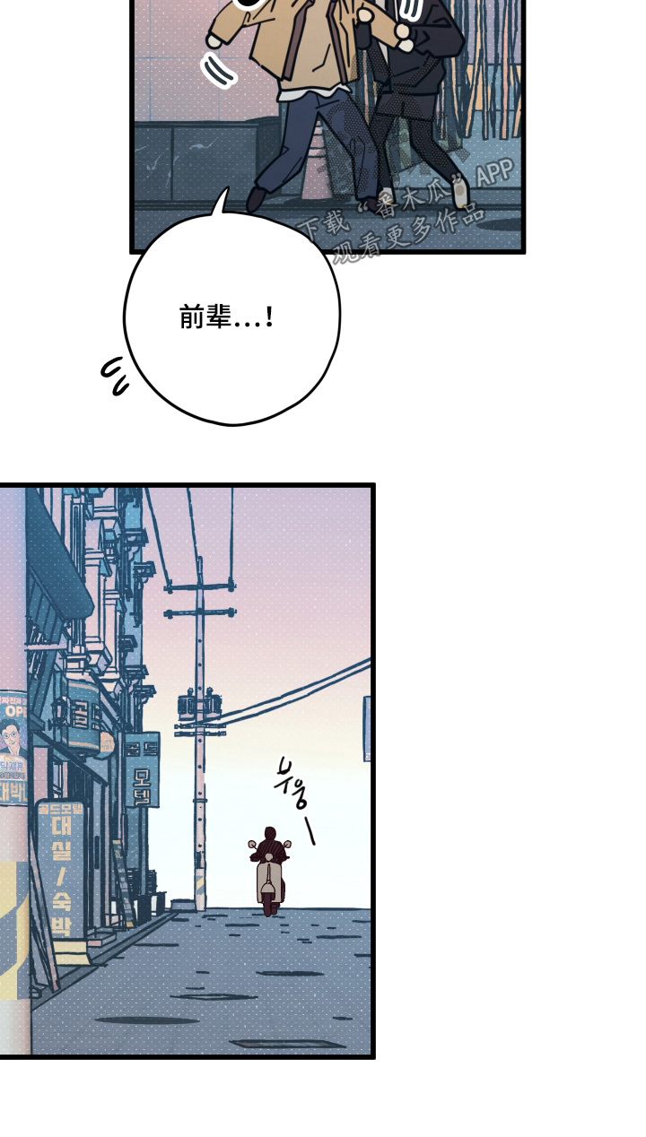 第19章：到底吃什么4