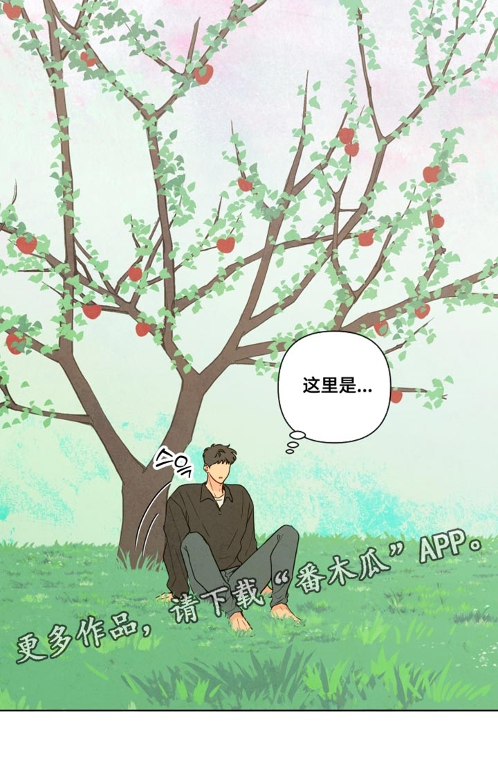 与神并肩的图片漫画,第71章：【第二季】新鲜的灵魂3图