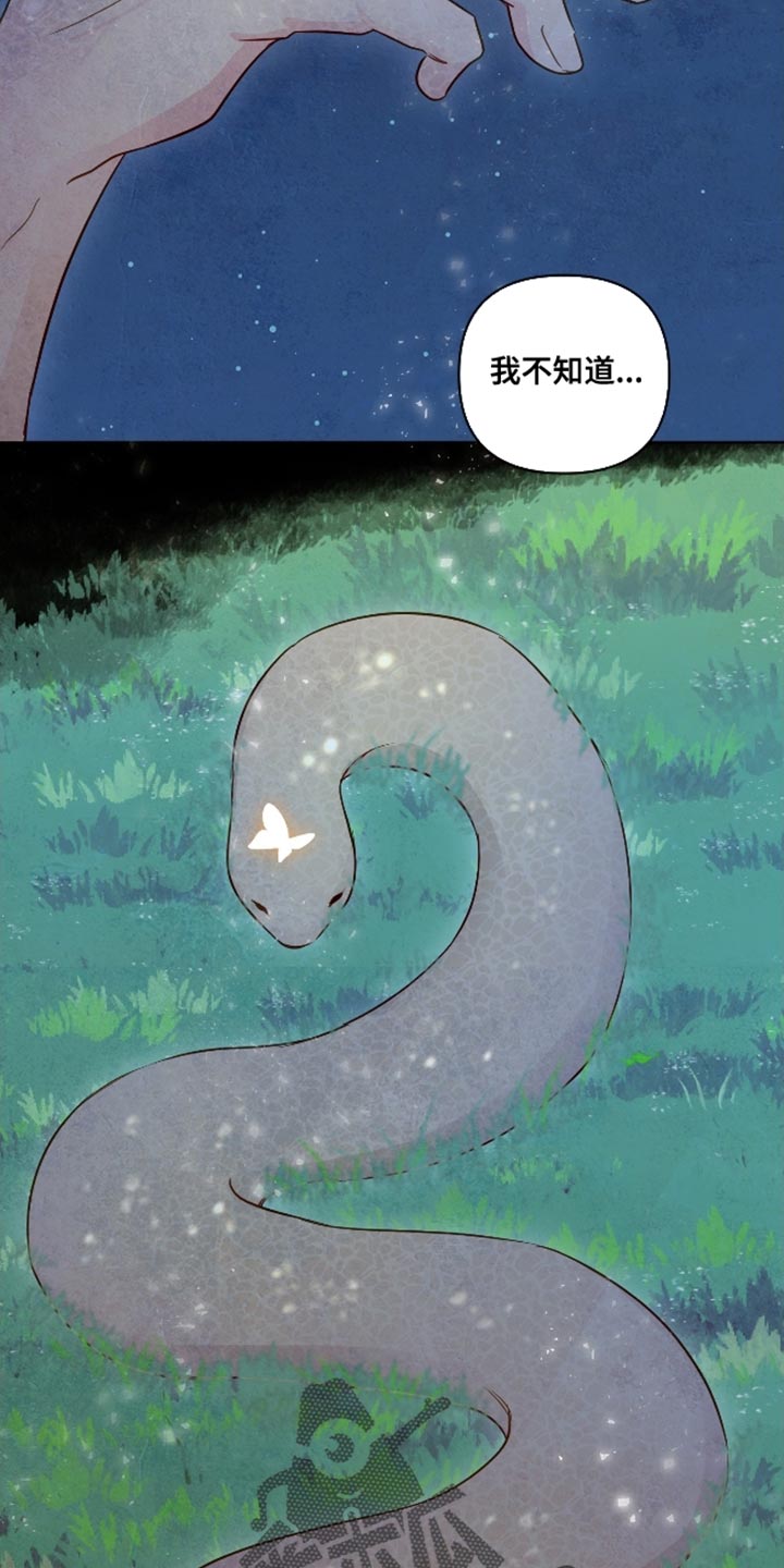 与神相拥漫画,第69章：【第二季】颜色漂亮的蛇4图