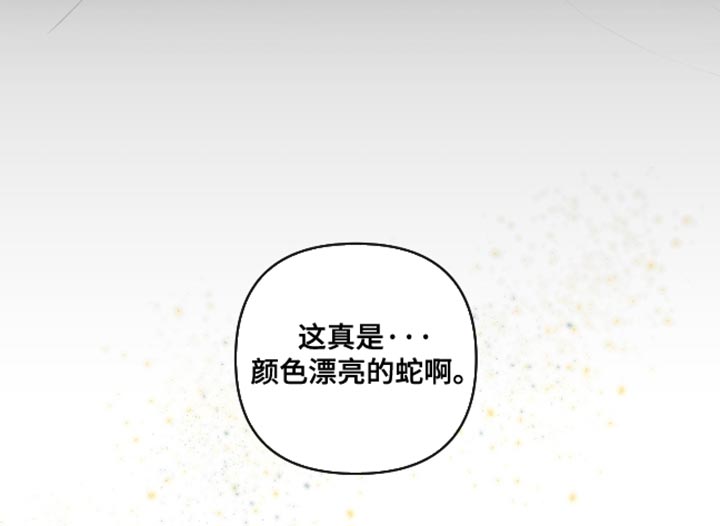 与神同行第一集漫画,第69章：【第二季】颜色漂亮的蛇5图