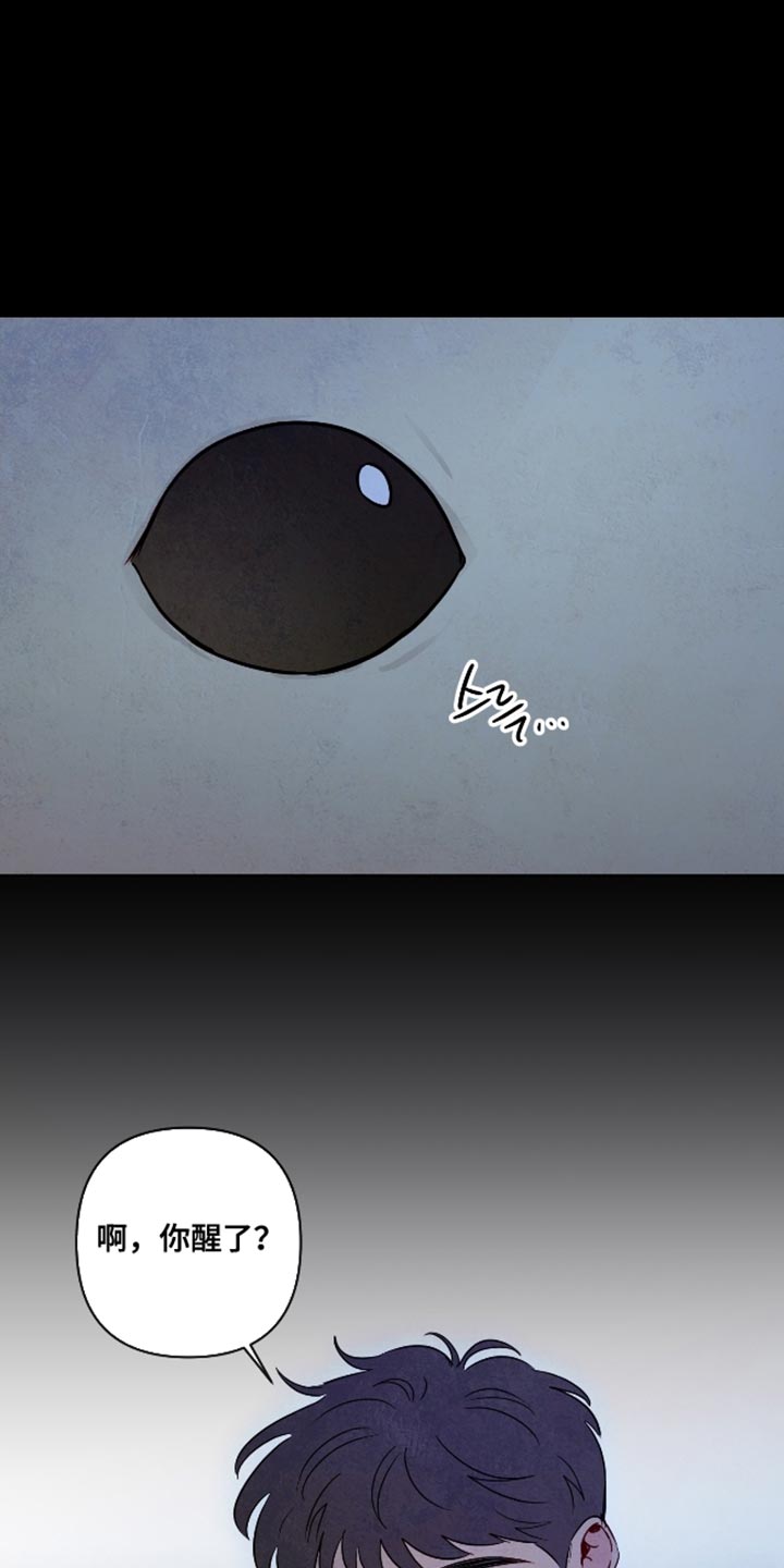 与神同行第一集漫画,第69章：【第二季】颜色漂亮的蛇1图