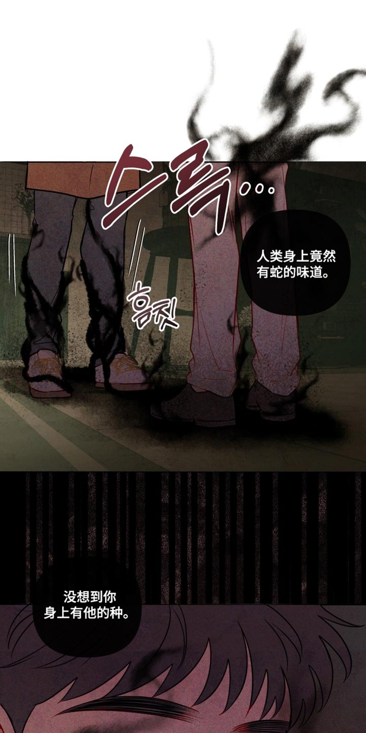 与神相拥漫画,第71章：【第二季】新鲜的灵魂4图