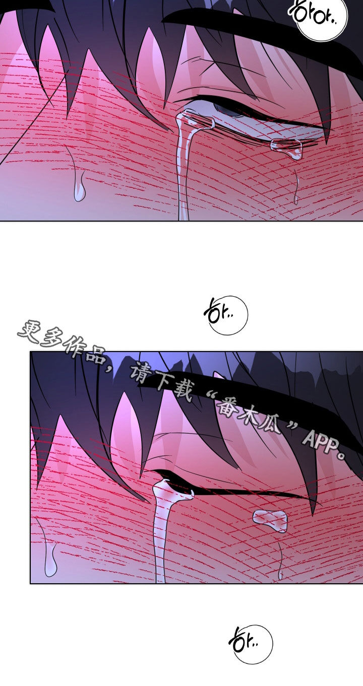 红蛇梦魇漫画,第56章：【第二季】好奇怪3图