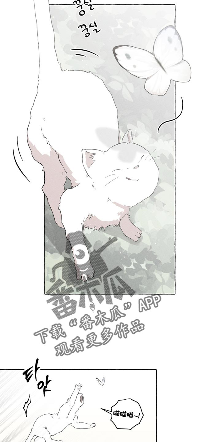 血族囚笼未婚妻详细介绍漫画,第99章：怀念的香味2图