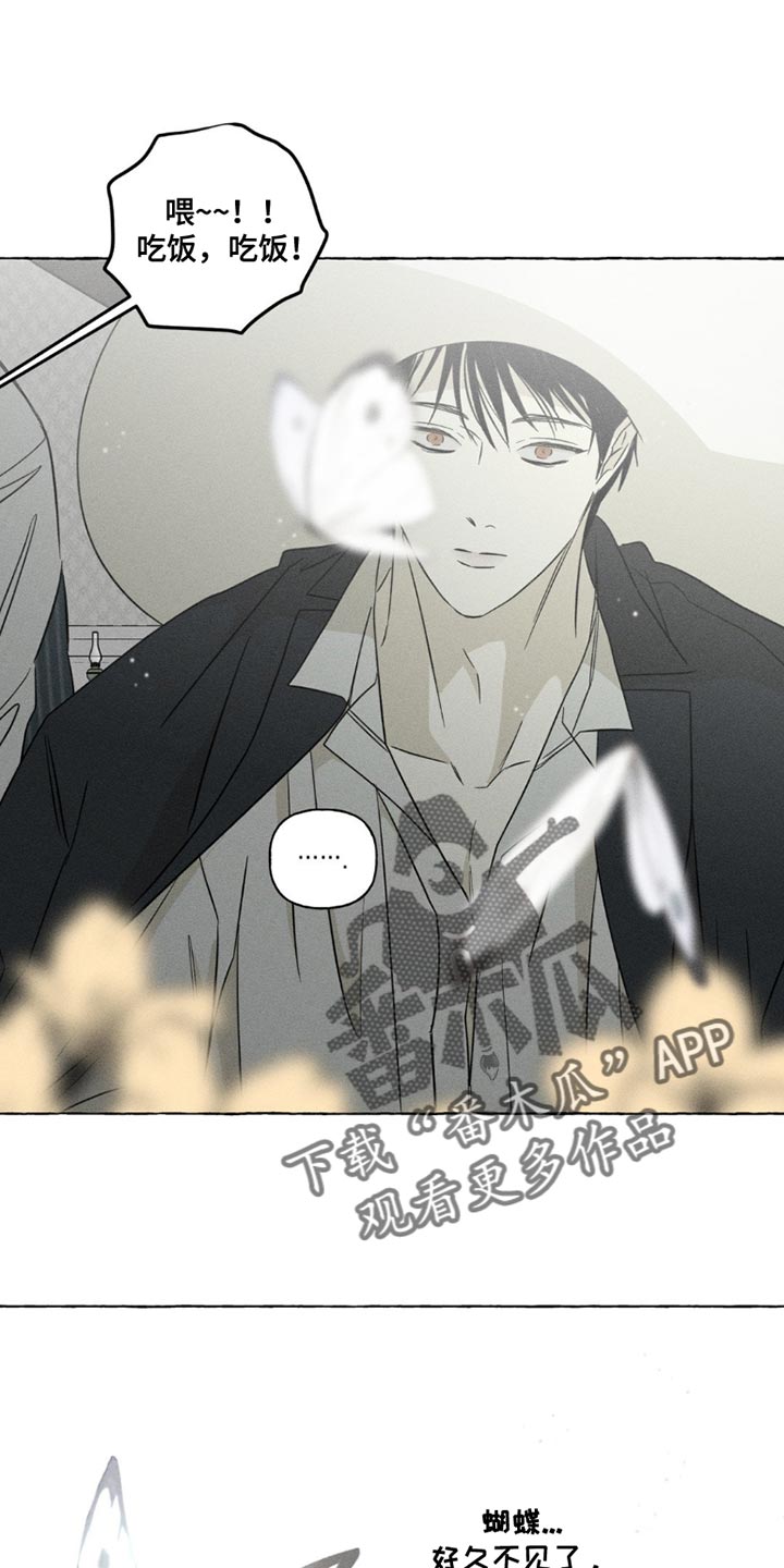 血族囚笼未婚妻详细介绍漫画,第99章：怀念的香味2图