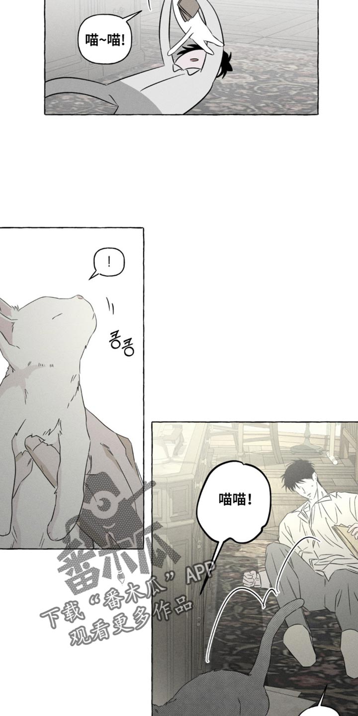 血族囚笼漫画,第98章：看来春天要来了2图