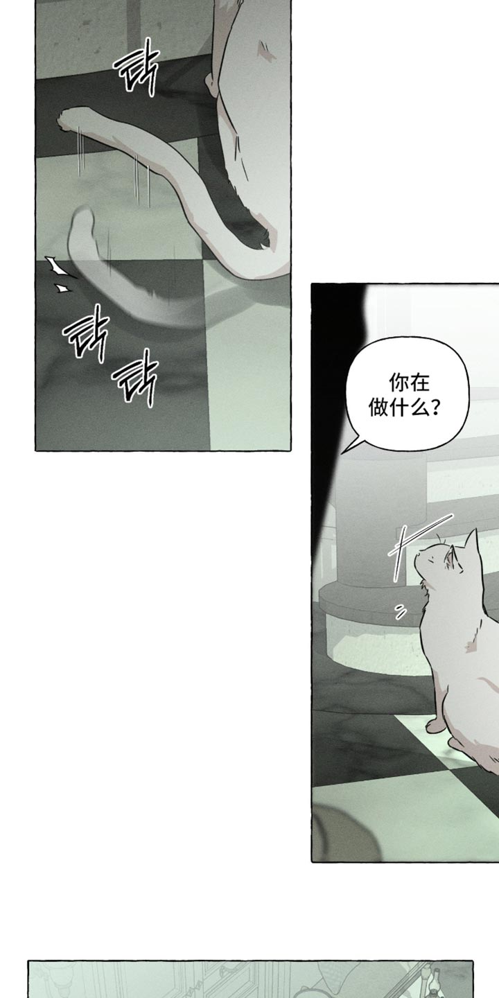 血族囚笼有哪些角色漫画,第117章：不自在4图