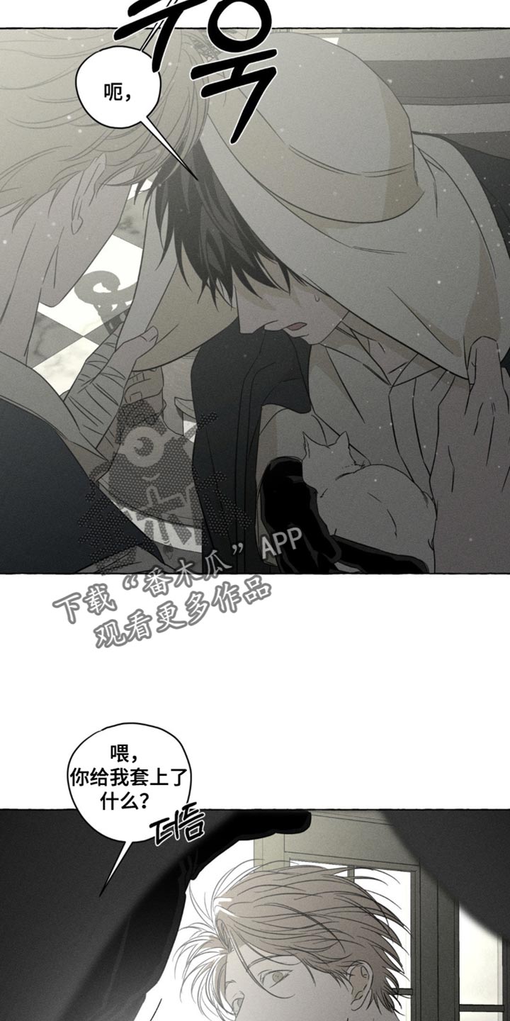 血族囚笼下拉式漫画最新章节漫画,第98章：看来春天要来了5图