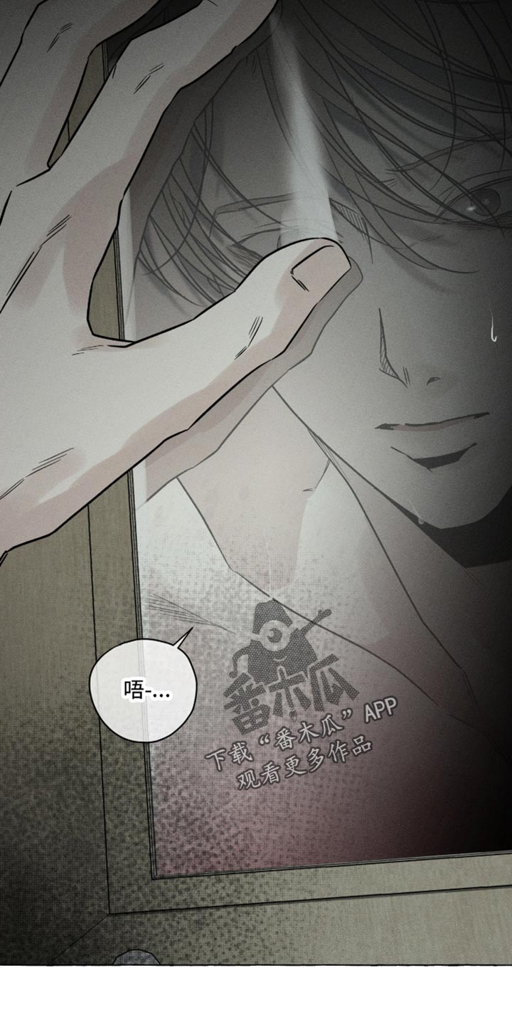 血族囚笼未婚妻经典情节漫画,第108章：疼痛2图