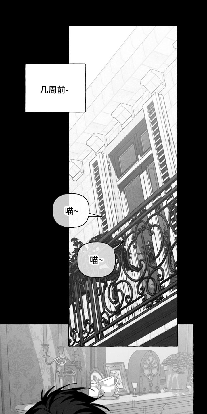 血族囚笼漫画,第108章：疼痛1图